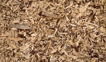 What is wood fibre?