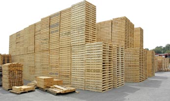 What types of pallets do you sell?